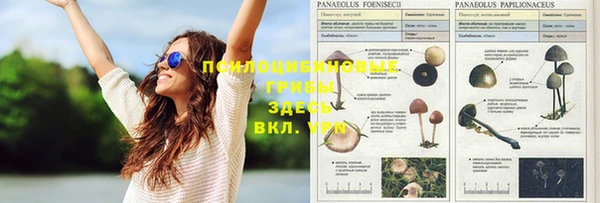 гашиш Надым