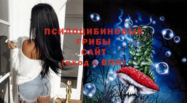 дживик Абинск